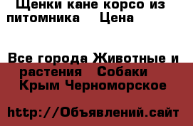 Щенки кане корсо из  питомника! › Цена ­ 65 000 - Все города Животные и растения » Собаки   . Крым,Черноморское